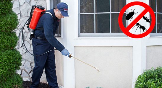 Aydıntepe Hamam Böceği İlaçlama böcek ilaçlama ve haşere kontrolü — ilaclama-tr.com